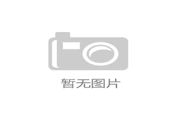 布莱顿传导节奏超顺滑